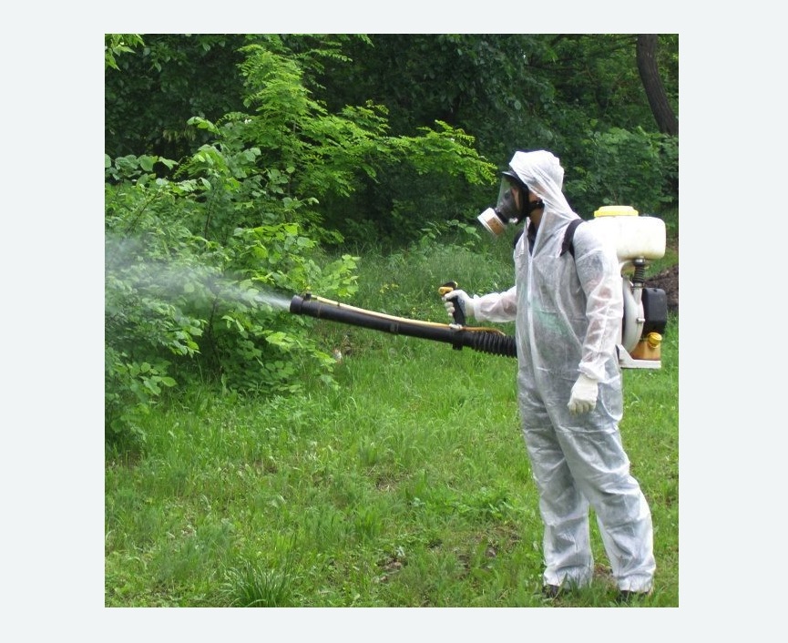 обработка территории от клещей в Гагарине