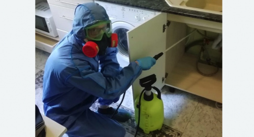 Уничтожение муравьев в квартире. Гагарин