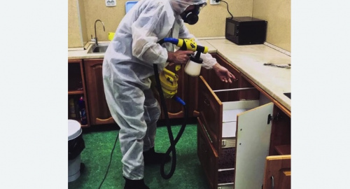 Уничтожение насекомых в квартире. Гагарин