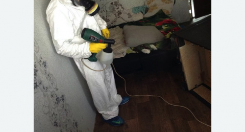 Обработка квартир от насекомых в Гагарине