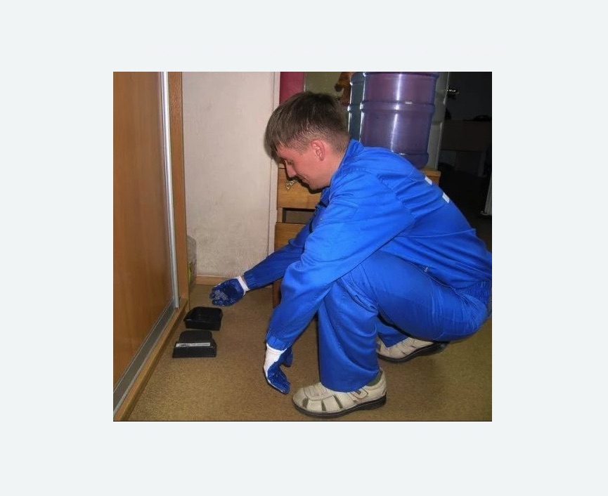 Дератизация крыс в Гагарине