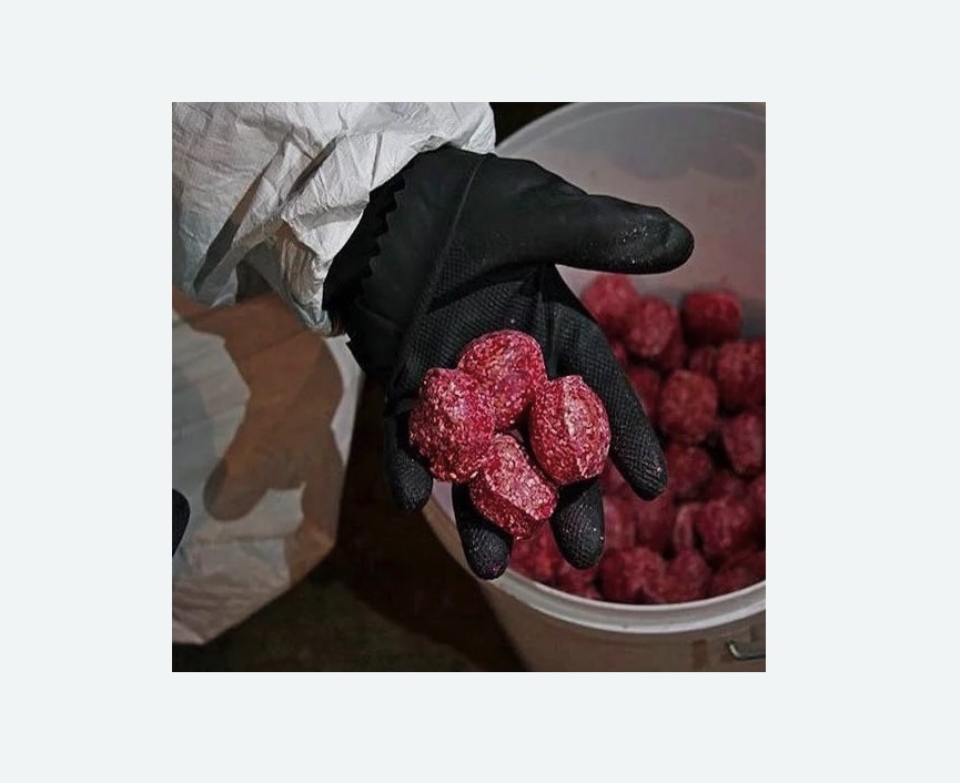 Обработка от крыс в Гагарине