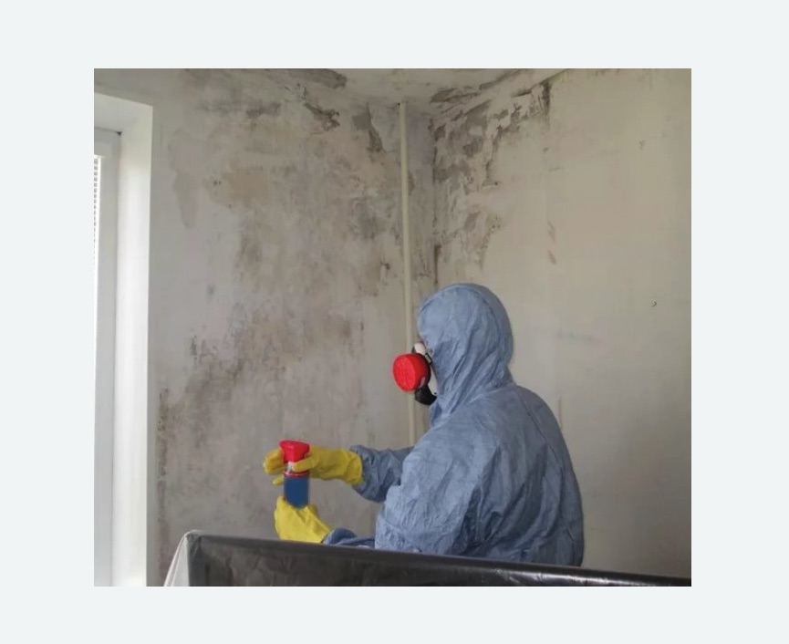 Удаление плесени в квартире в Гагарине