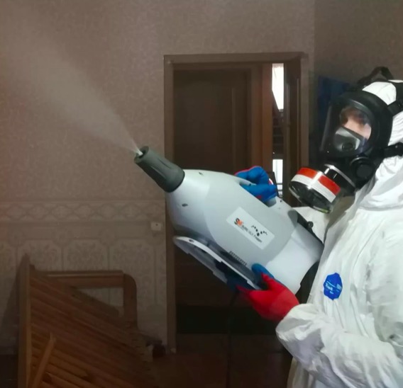 дезинсекция помещения в Гагарине