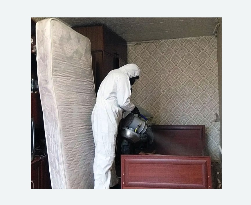 дезинфекция от клопов в Гагарине