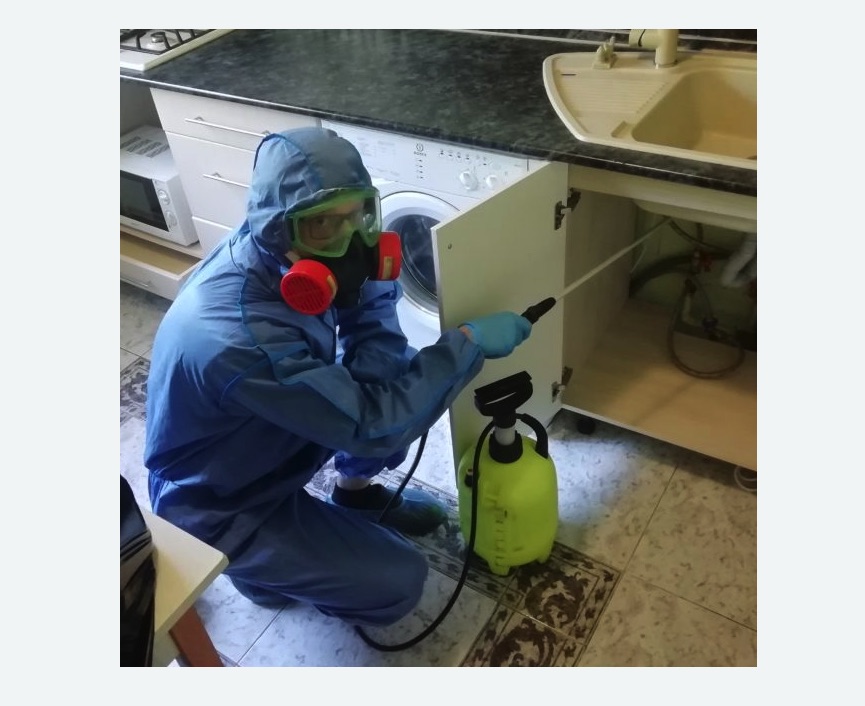 обработка от муравьев в квартире в Гагарине