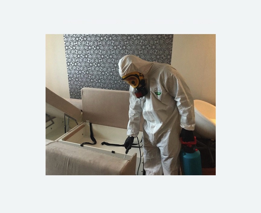 уничтожение клопов в квартире в Гагарине