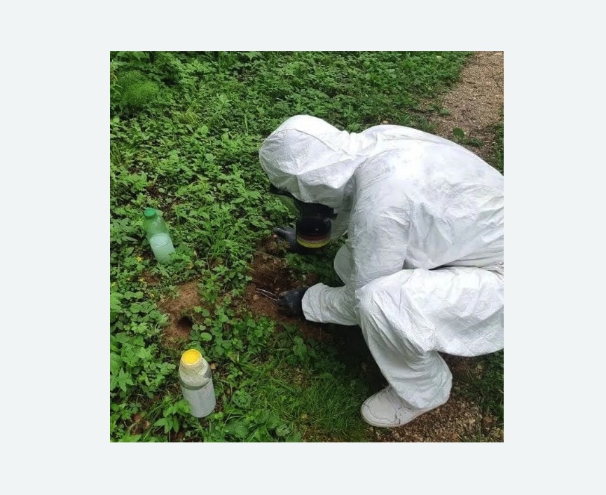 уничтожение кротов на участке в Гагарине