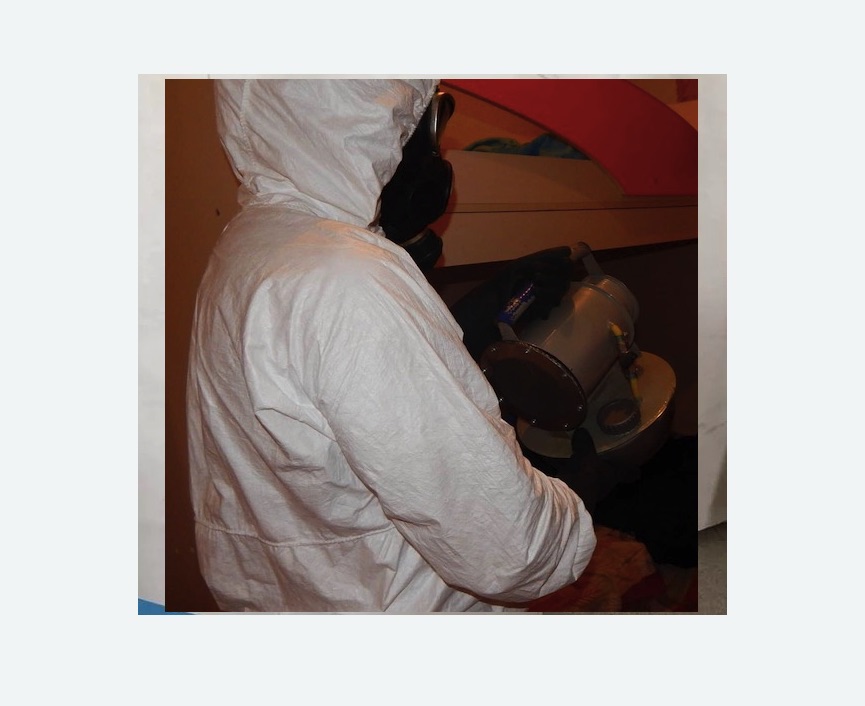 Дезинфекция от муравьев в Гагарине