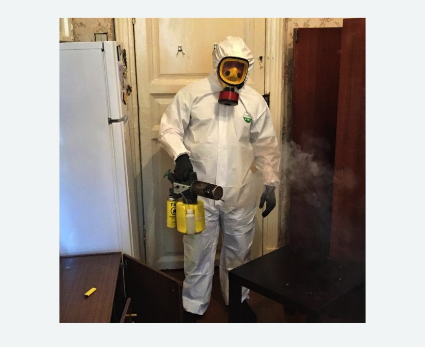 уничтожение муравьев в квартире в Гагарине